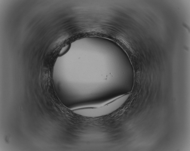 X0000091191111200709061008