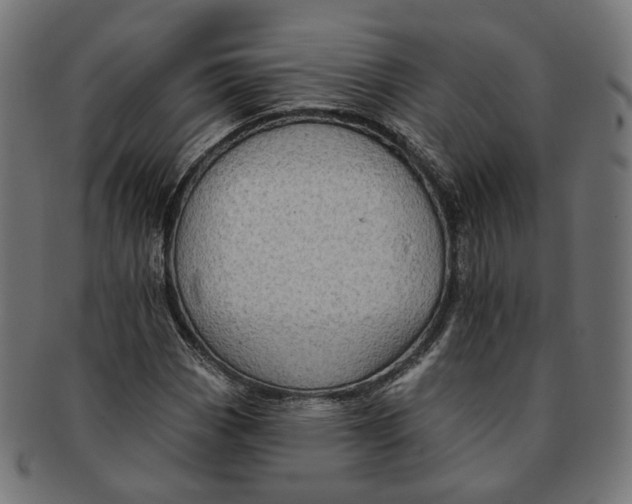 X0000091191113200709061008