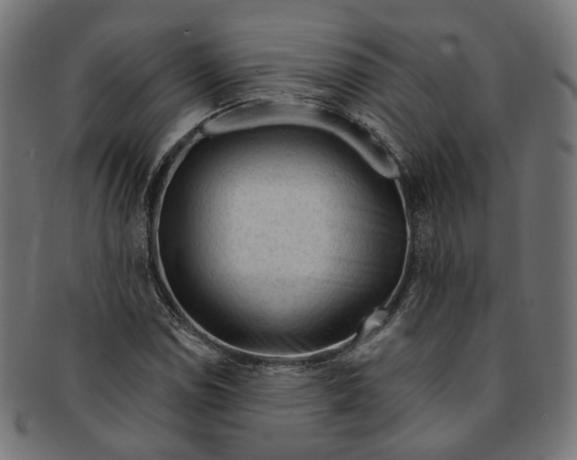 X0000091191114200709061008