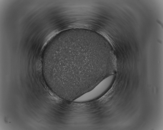 X0000091191115200709061008