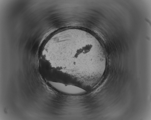 X0000091191117200709061008