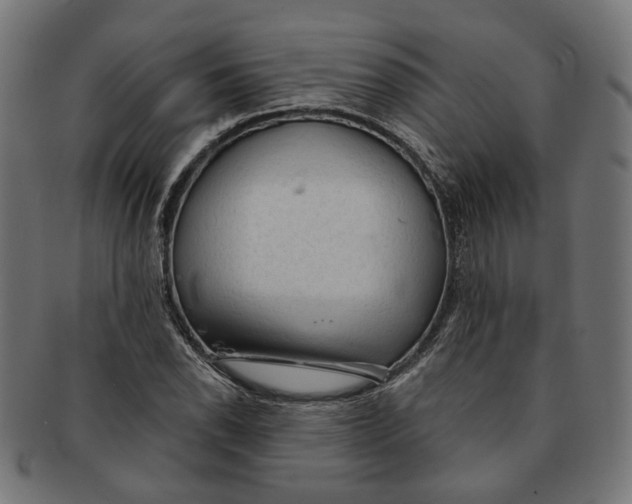 X0000091191118200709061008