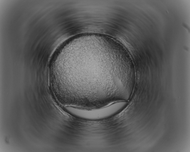 X0000091191123200709061008