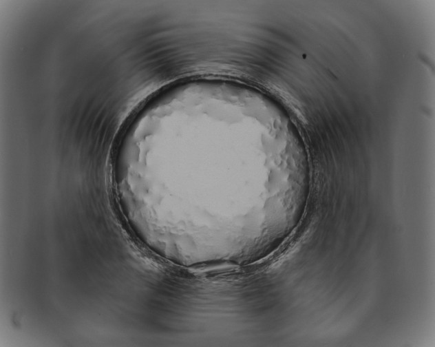 X0000091191125200709061008