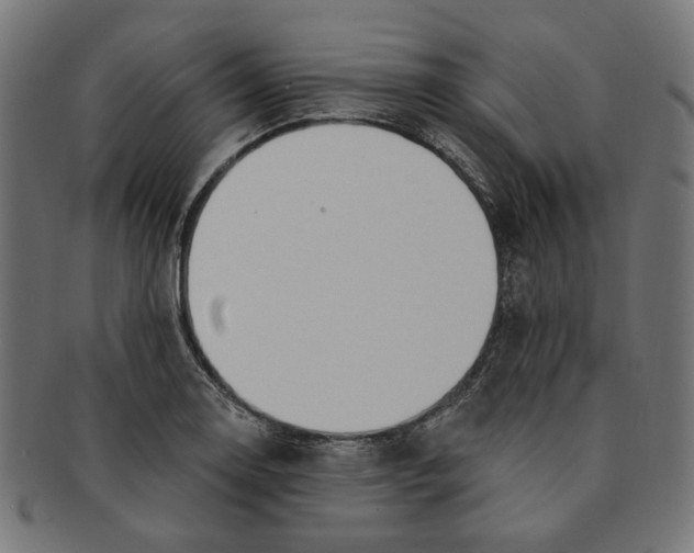 X0000091191130200709061008