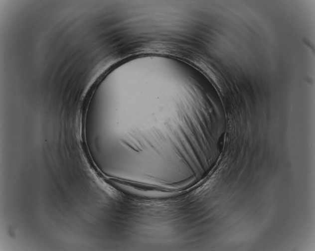 X0000091191131200709061008