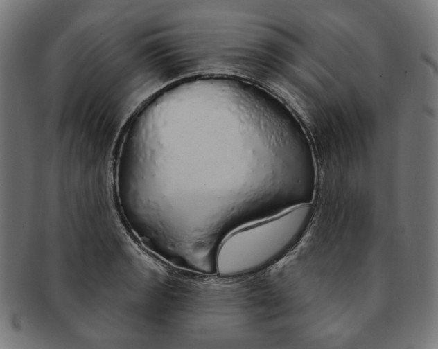 X0000091191133200709061008