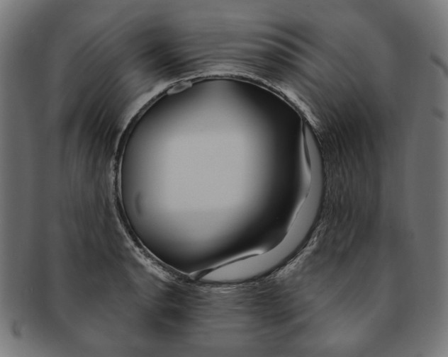 X0000091191134200709061008