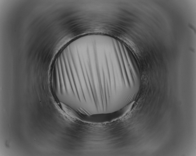 X0000091191135200709061008