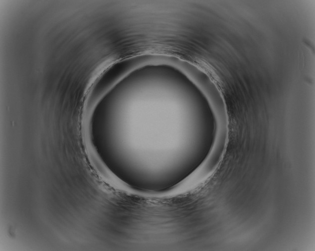 X0000091191138200709061008