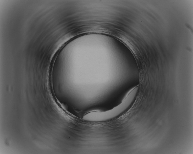 X0000091191139200709061008