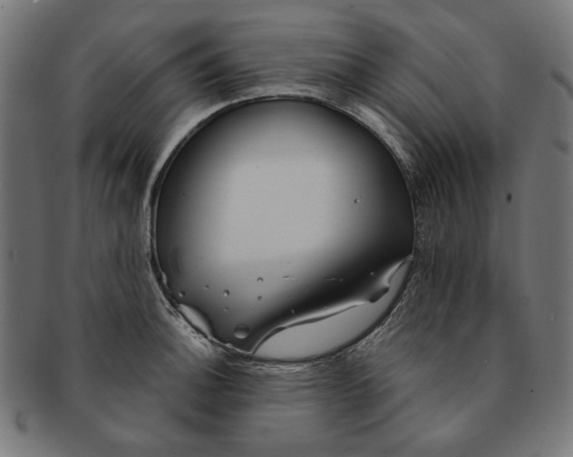 X0000091191140200709061008