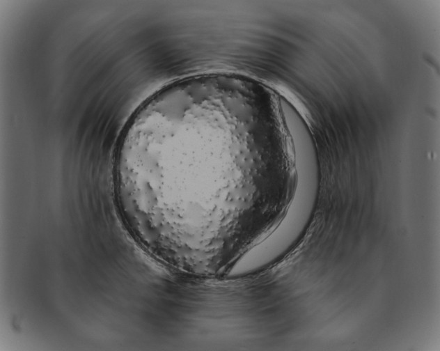 X0000091191142200709061008