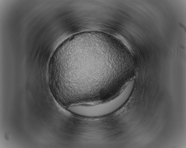 X0000091191143200709061008