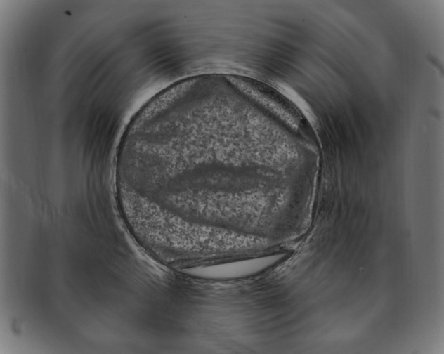 X0000091191144200709061008