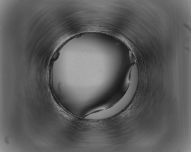 X0000091191147200709061008