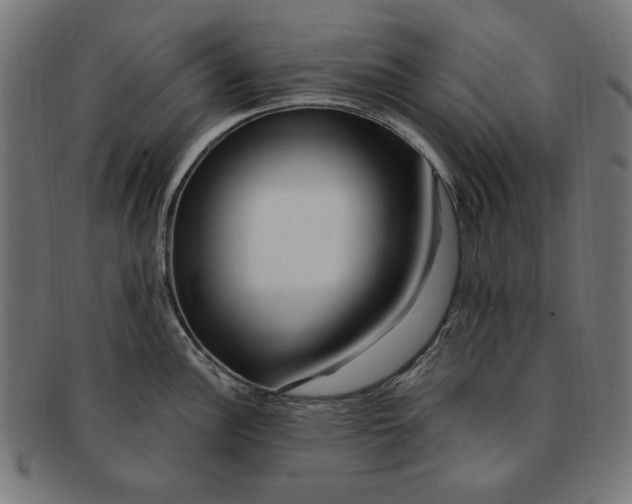 X0000091191148200709061008