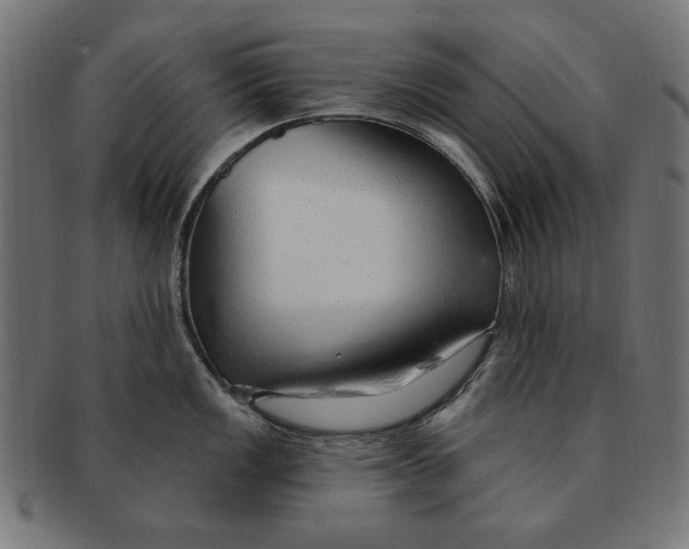 X0000091191149200709061008