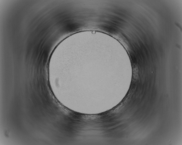 X0000091191150200709061008