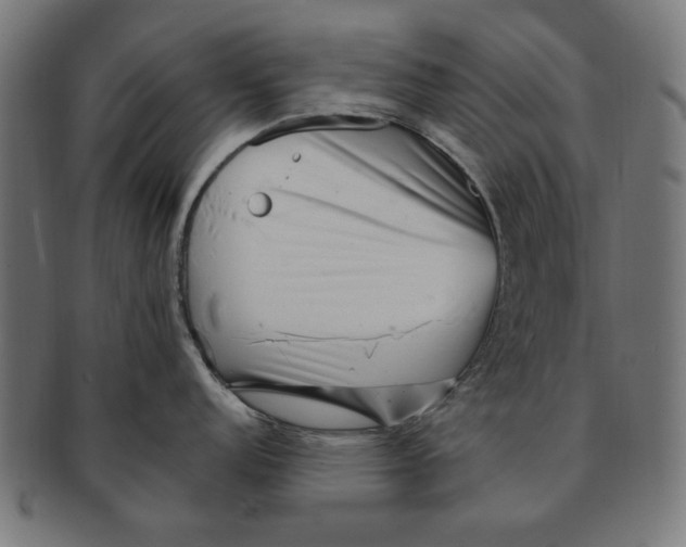 X0000091191152200709061009