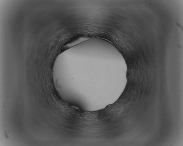 X0000091191153200709061008