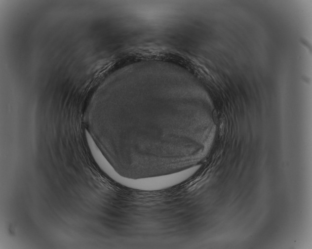 X0000091191156200709061008