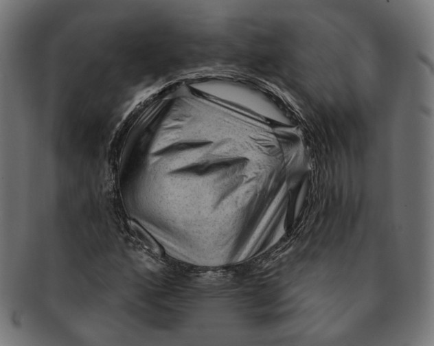 X0000091191160200709061008