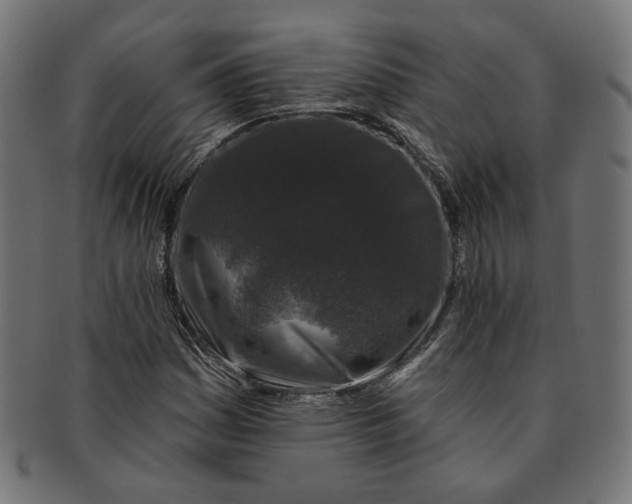 X0000091191161200709061008