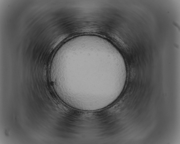 X0000091191162200709061008