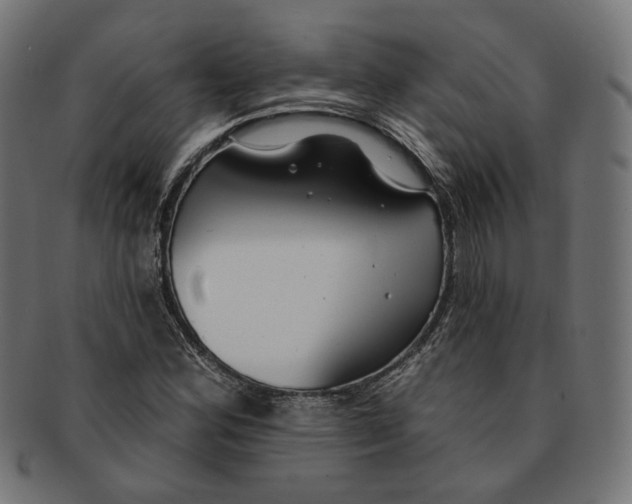 X0000091191164200709061008