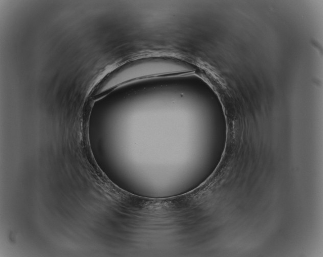 X0000091191165200709061008