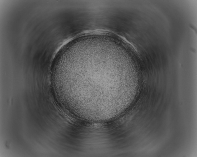 X0000091191166200709061008