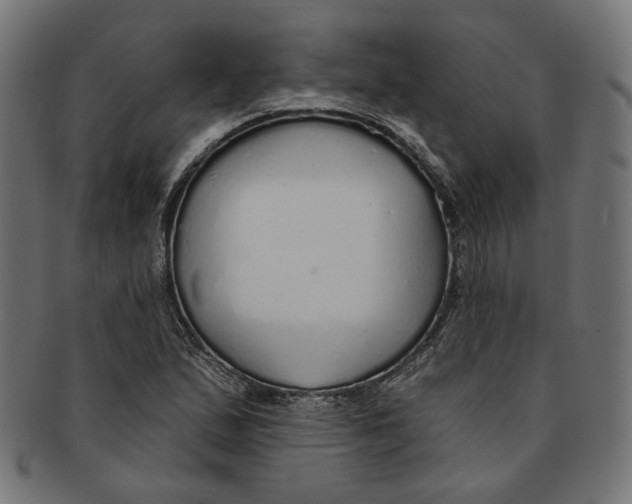 X0000091191167200709061008