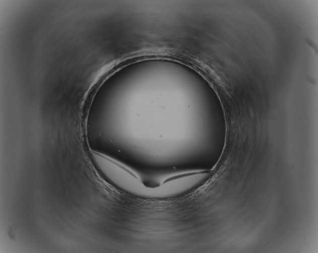 X0000091191168200709061008