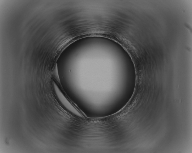 X0000091191169200709061008