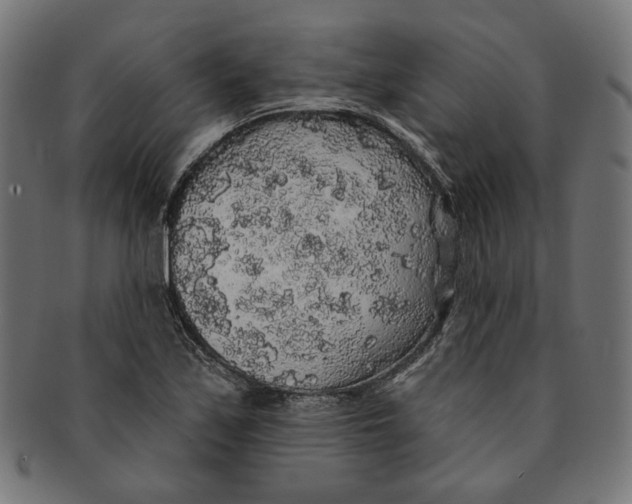 X0000091191171200709061008