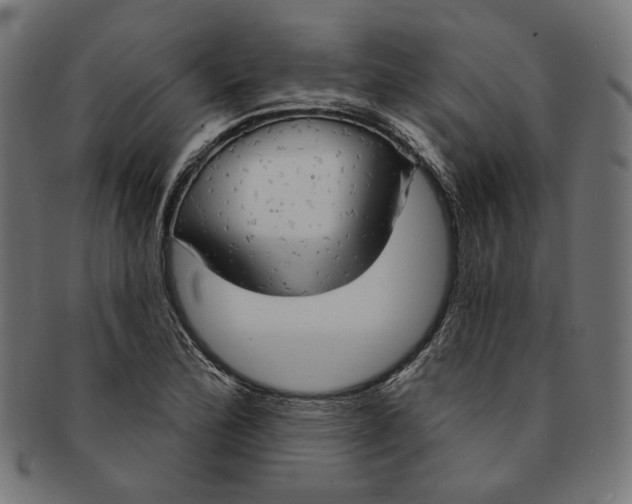 X0000091191172200709061008