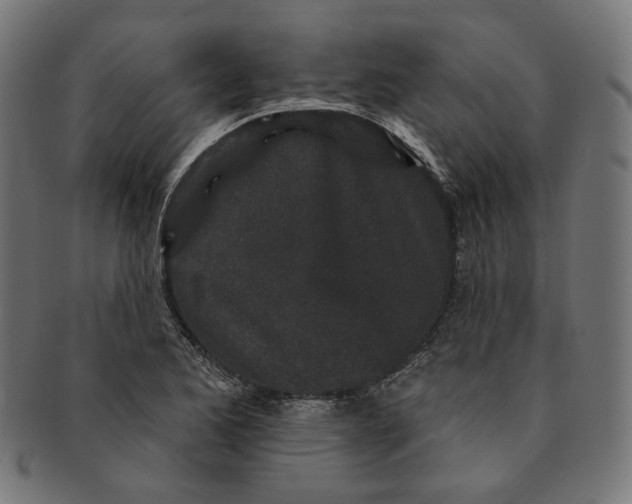 X0000091191173200709061008