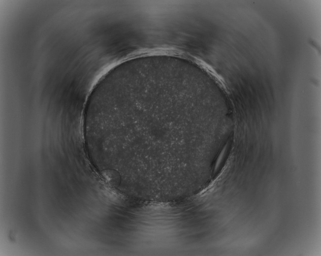 X0000091191174200709061008