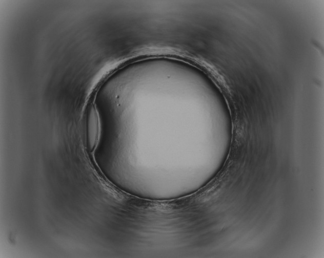 X0000091191175200709061008