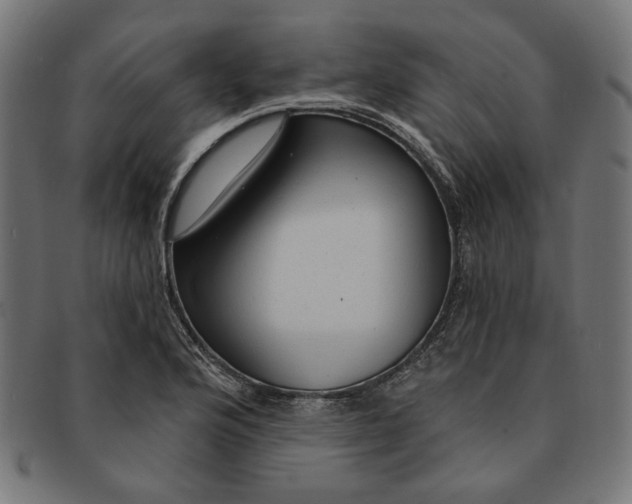 X0000091191176200709061007