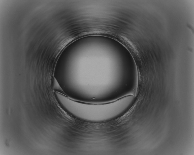 X0000091191177200709061007