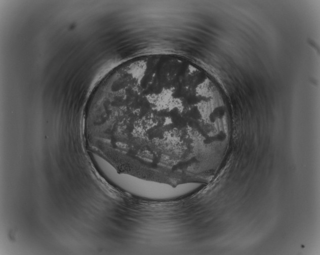 X0000091191179200709061007