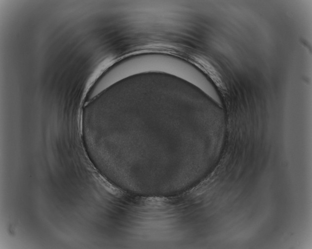 X0000091191180200709061007