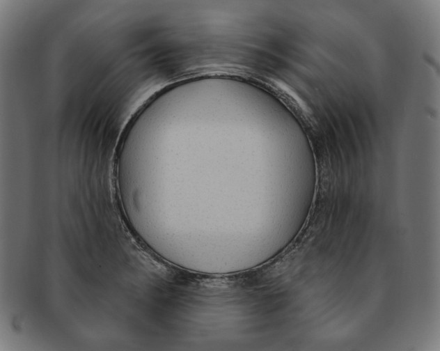 X0000091191182200709061007