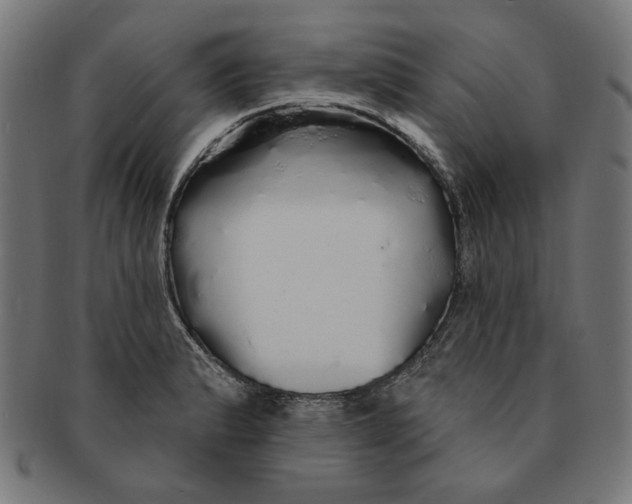 X0000091191183200709061007