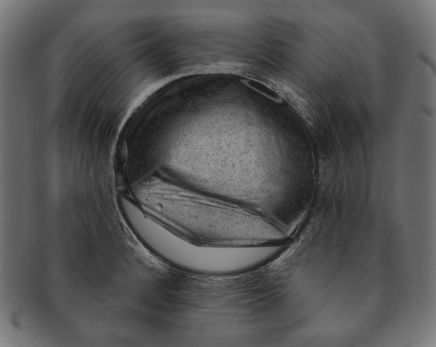 X0000091191184200709061007