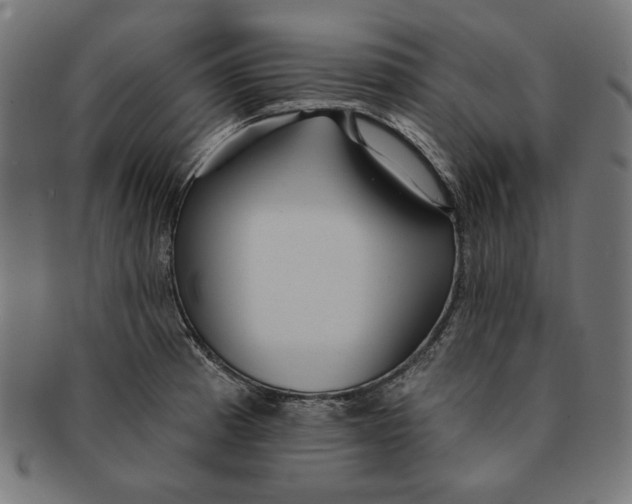 X0000091191185200709061007