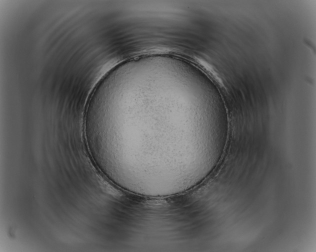 X0000091191186200709061007