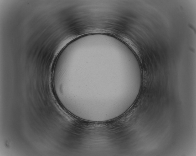 X0000091191187200709061007